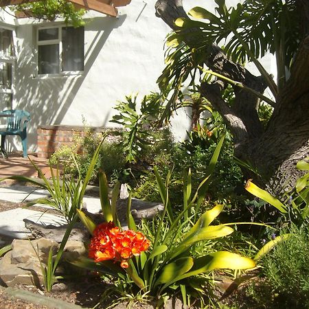 Be My Guest Lodge Bloubergstrand Ruang foto
