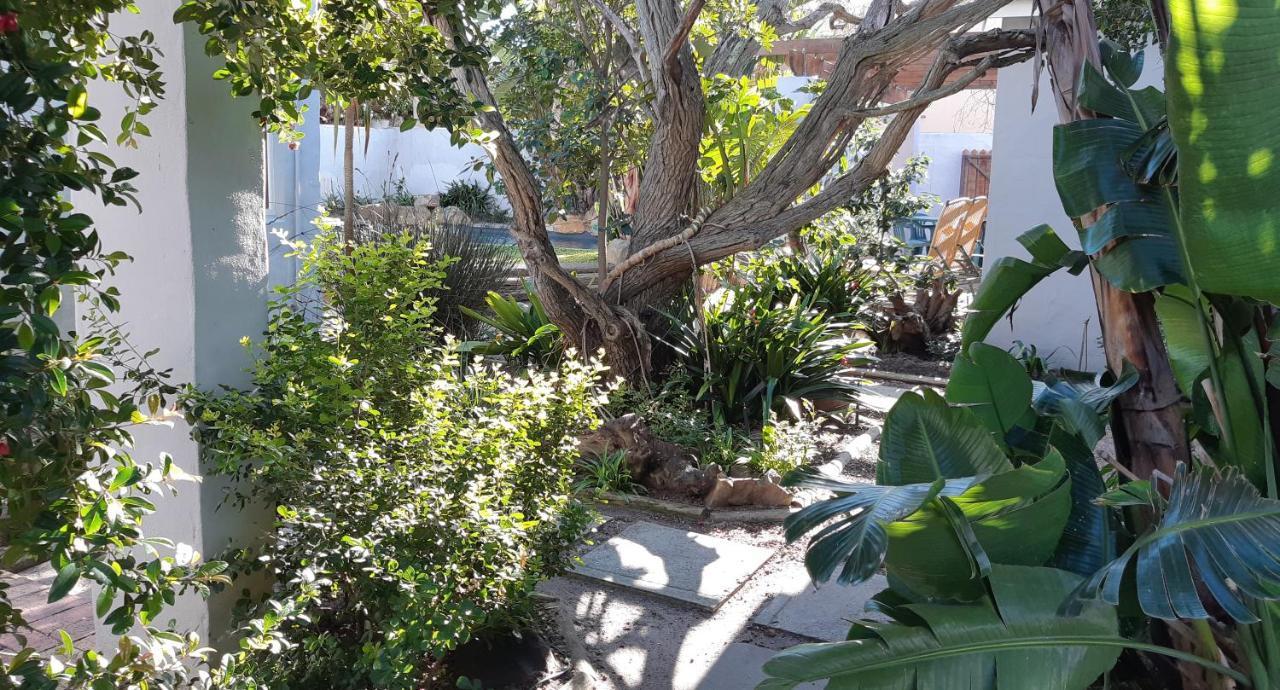 Be My Guest Lodge Bloubergstrand Bagian luar foto
