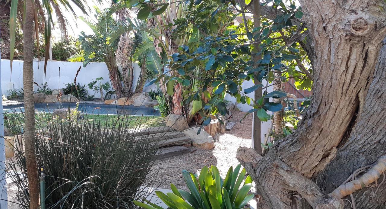 Be My Guest Lodge Bloubergstrand Bagian luar foto
