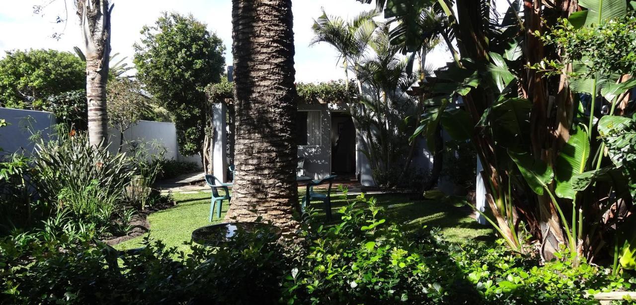 Be My Guest Lodge Bloubergstrand Bagian luar foto